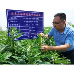 出口品質芝麻醬，就選豐香園芝麻食品——您值得信賴的咨詢合作伙伴